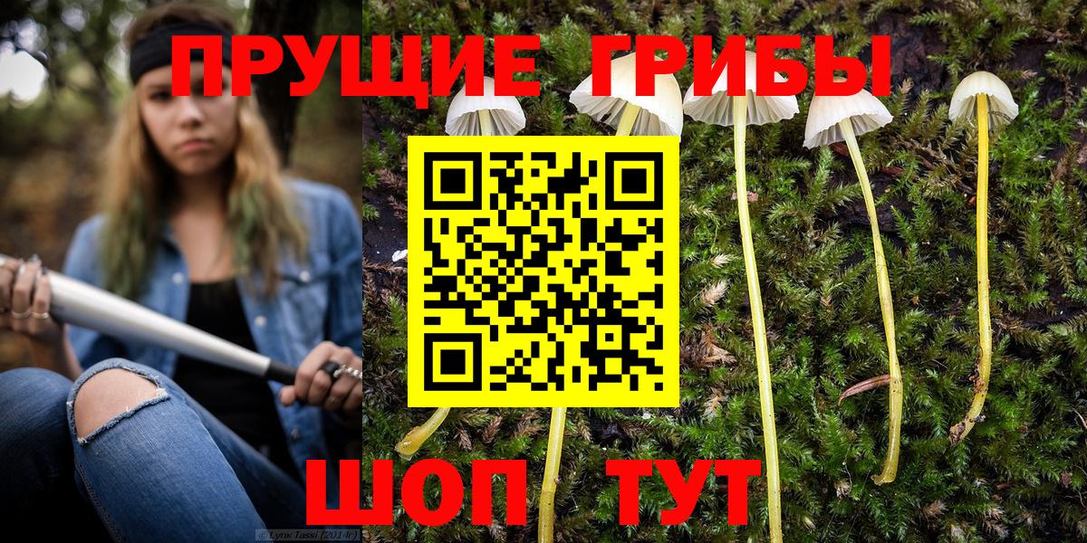 Псилоцибиновые грибы Magic Shrooms Димитровград