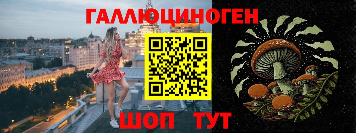Галлюциногенные грибы MAGIC MUSHROOMS  Вход с VPN  Димитровград 